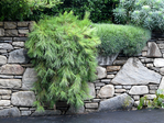  Landscape-Patios-Stone-Wall-Groundcovers (700x525, 573Kb)