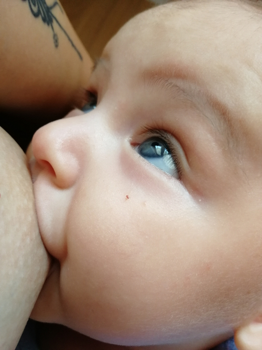 IMG_20180906_125736 (525x700, 304Kb)