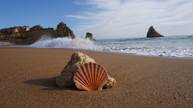 1538145535_portugal-3547150_640 (640x360, 73Kb)
