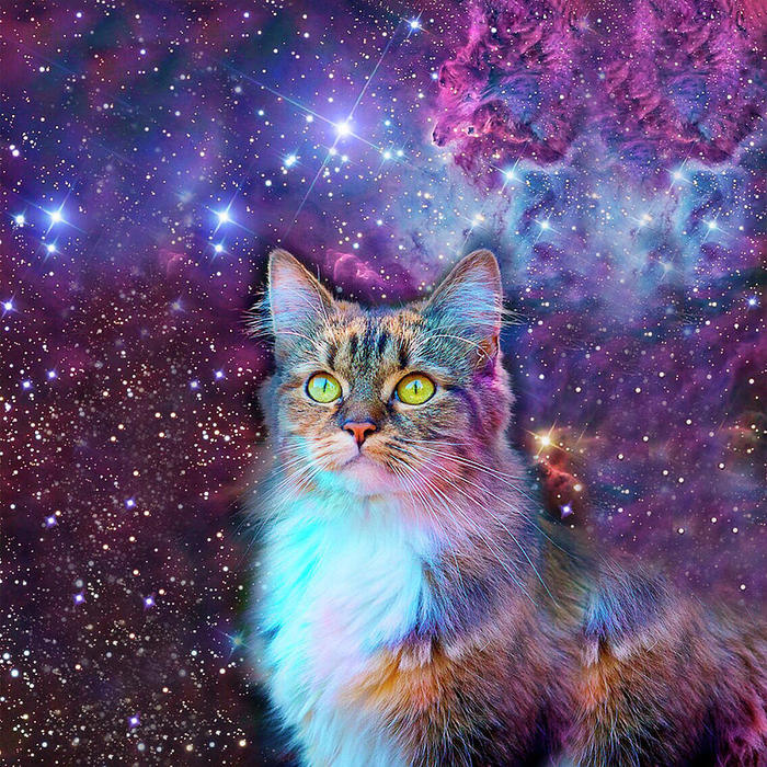  (700x700, 168Kb)