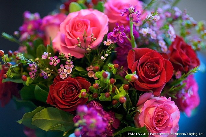 6309789_IMG_2190 (700x465, 230Kb)