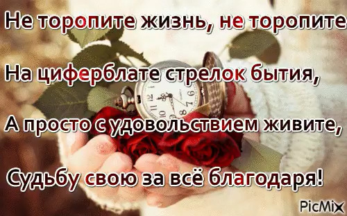 Не торопите жизнь не торопите картинки