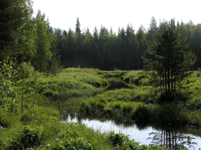 ural-20 (700x525, 277Kb)