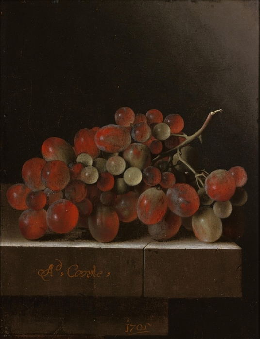 5229398_Adriaen_Coorte__Grapes_Medlars_Apricots_and_a_Fig_3_ (536x700, 227Kb)