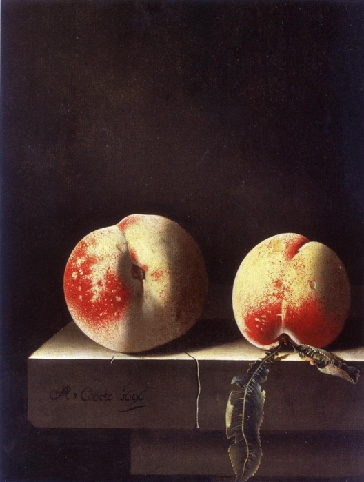 5229398_Adriaen_Coorte__Still_life_with_peach_and_two_apricots__sold_1dec2009_3_ (528x700, 247Kb)