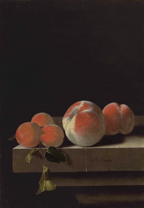 5229398_Adriaen_Coorte__Grapes_Medlars_Apricots_and_a_Fig_5_ (485x700, 170Kb)