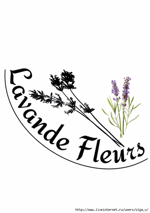 lavande fleurs (494x700, 100Kb)