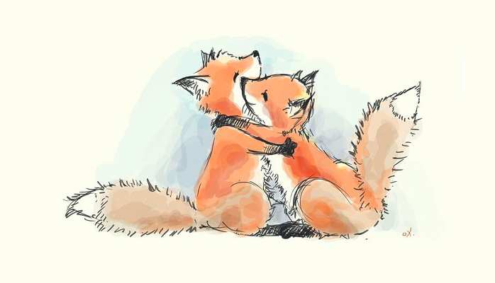 foxes (698x400, 114Kb)