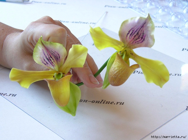 Орхидея Леди Слиппер из полимерной глины. Мастер-класс (67) (640x479, 169Kb)
