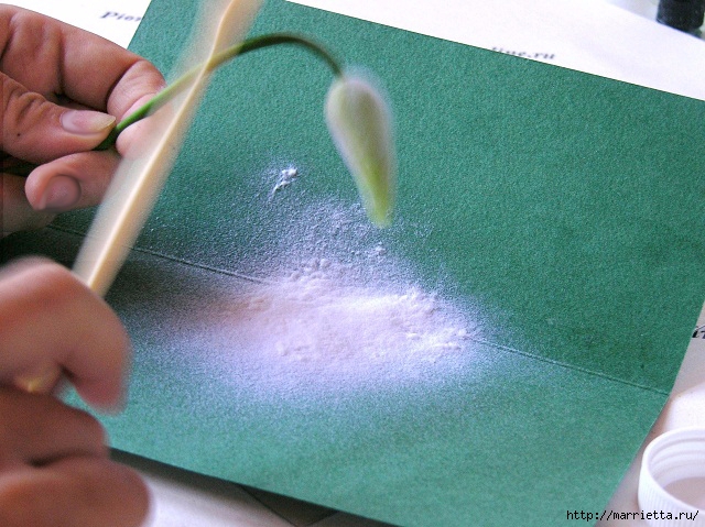 Орхидея Леди Слиппер из полимерной глины. Мастер-класс (80) (640x479, 259Kb)