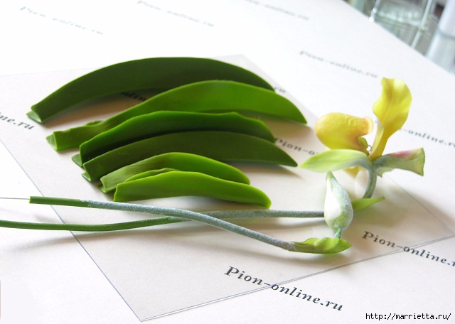 Орхидея Леди Слиппер из полимерной глины. Мастер-класс (90) (640x456, 136Kb)