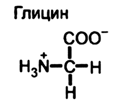 Глицин структурная формула картинка