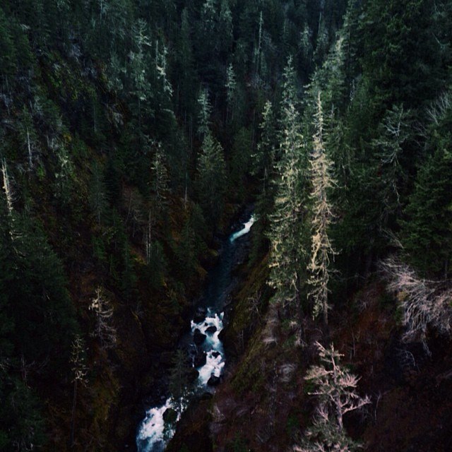 _GV20L14ijs (640x640, 99Kb)