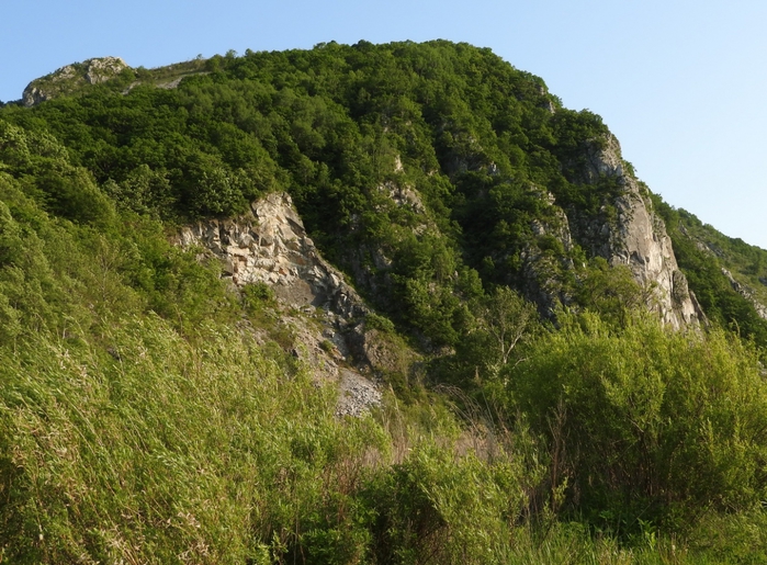 5559494_DSCN3849 (700x515, 331Kb)
