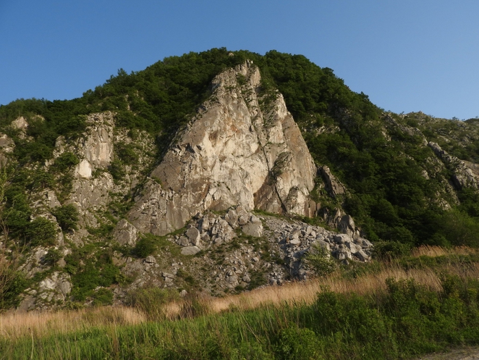 5559494_DSCN3869 (700x525, 310Kb)