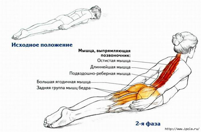 alt=" Yoga   "/2835299_Izmenenie_razmera_yprajnenie_dlya_osenki (700x459, 118Kb)