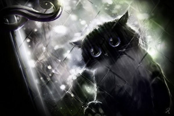 image (13) (600x400, 116Kb)