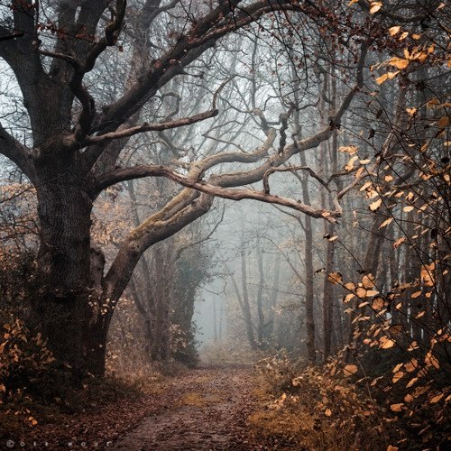 0VMXmoJ-THU (500x500, 105Kb)