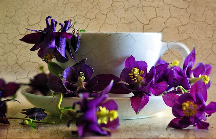 98600__purple-flowers-and-white-cup_p (700x452, 72Kb)
