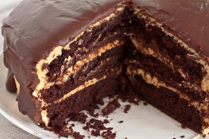 ultimate_chocolate_peanut_butter_cake-1-1024x682 (700x466, 361Kb)