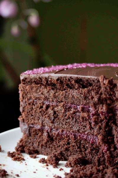 chocolate_raspberry_cake-5 (400x600, 287Kb)