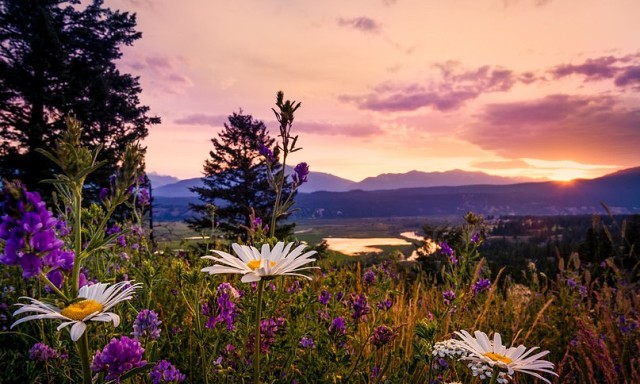 5227673_image (640x384, 83Kb)