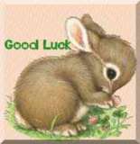 th_good_luck_r13_bunny_good (155x160, 3Kb)