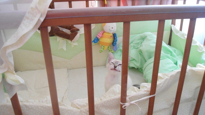 3798634_DSC06623 (700x393, 191Kb)