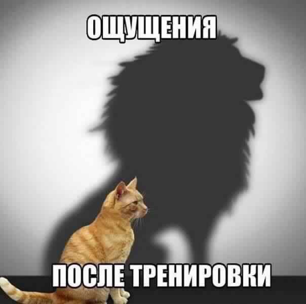 50 (604x602, 20Kb)