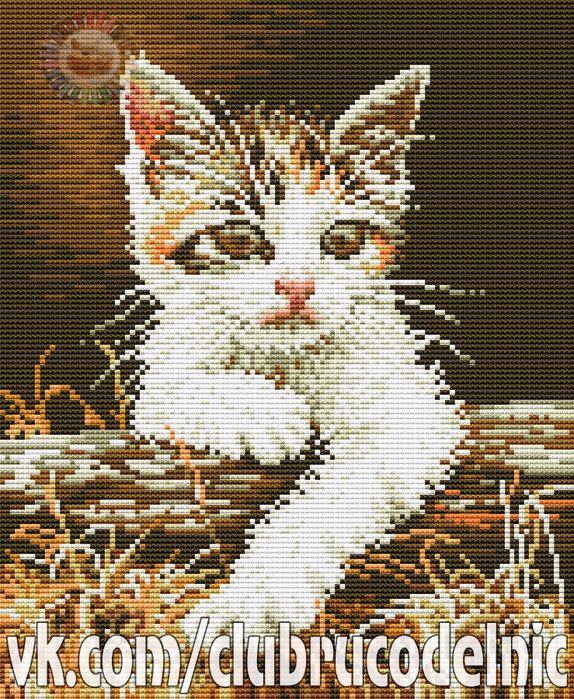 Cat (574x700, 712Kb)