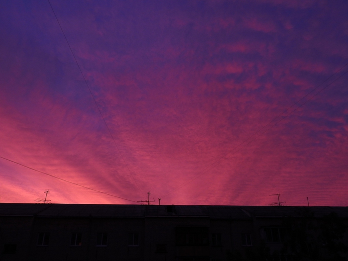 5559494_DSCN5942 (700x525, 160Kb)