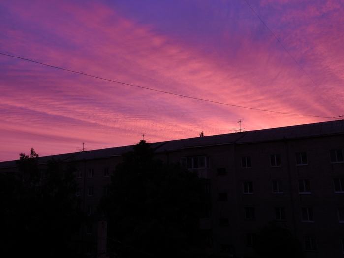 5559494_DSCN5956 (700x525, 158Kb)