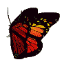 4752823_butterfly (90x90, 32Kb)