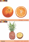  апельсин+ананас (489x700, 236Kb)