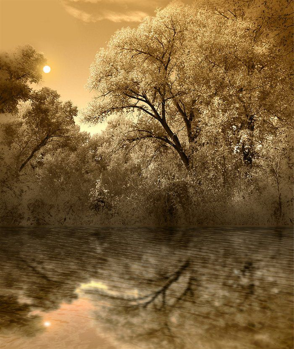 Peter Holme III Tutt'Art@ (6) (590x700, 482Kb)