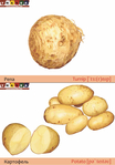   епа+картофель (489x700, 227Kb)
