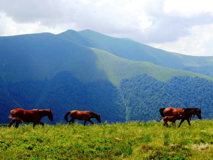 Закарпатье фото деревень