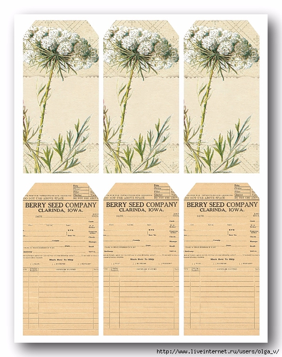 Tags - Queen Annes lace - lilac-n-lavender (553x700, 328Kb)