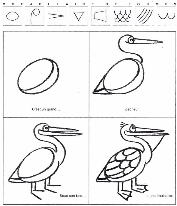 legendre_philippe_j_apprends_a_dessiner_les_oiseaux_du_monde_19 (602x700, 201Kb)