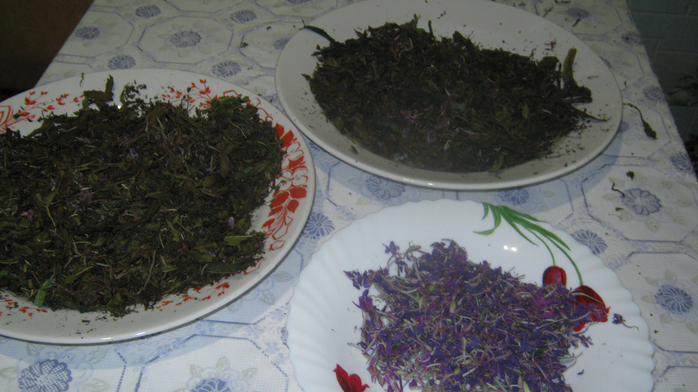 IMG_8284 (700x392, 382Kb)