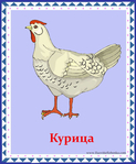  Курица (578x700, 305Kb)