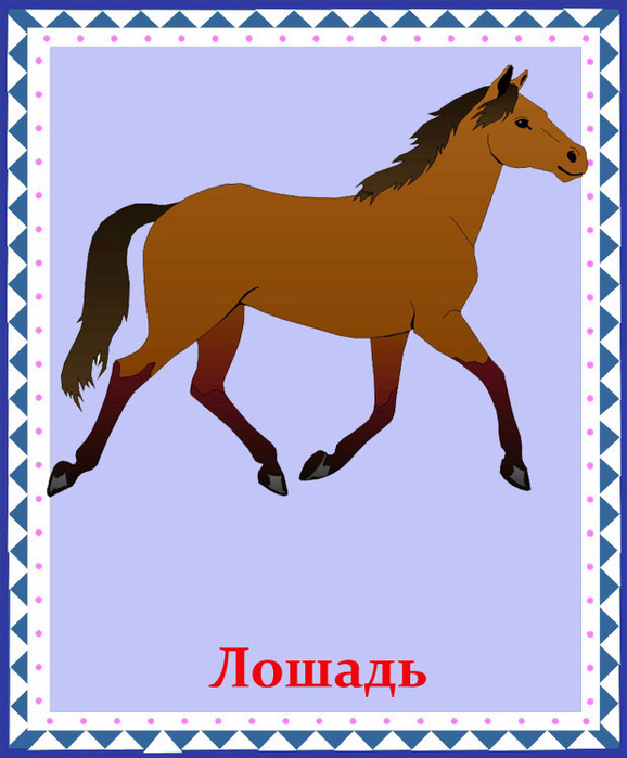 На рисунке изображена домашняя лошадь