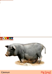  носорог+свинья - копия (489x700, 124Kb)
