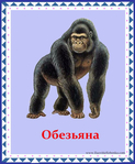  обезьяна (578x700, 330Kb)