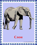  слон (578x700, 316Kb)