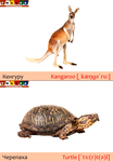  кенгуру+черепаха (489x700, 190Kb)