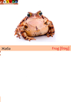  жаба+собака - копия (489x700, 118Kb)