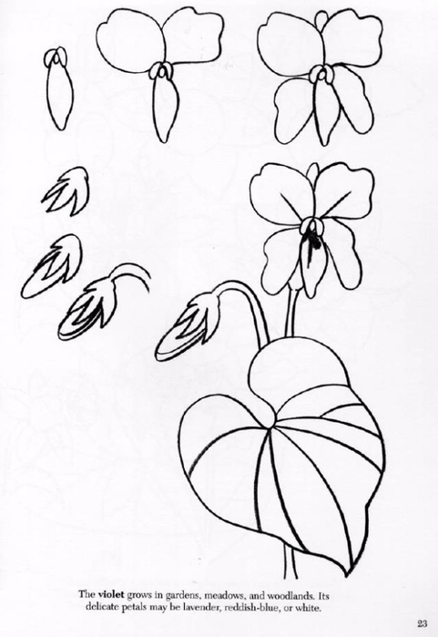 Библиотека: How to Draw Flowers. Как нарисовать цветы. . Обсуждение на