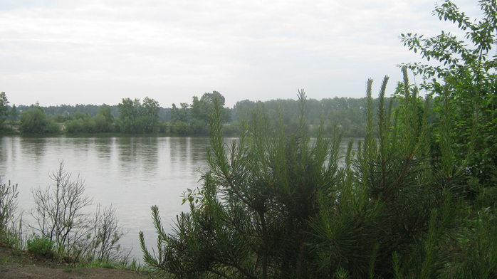 IMG_7864 (700x392, 338Kb)