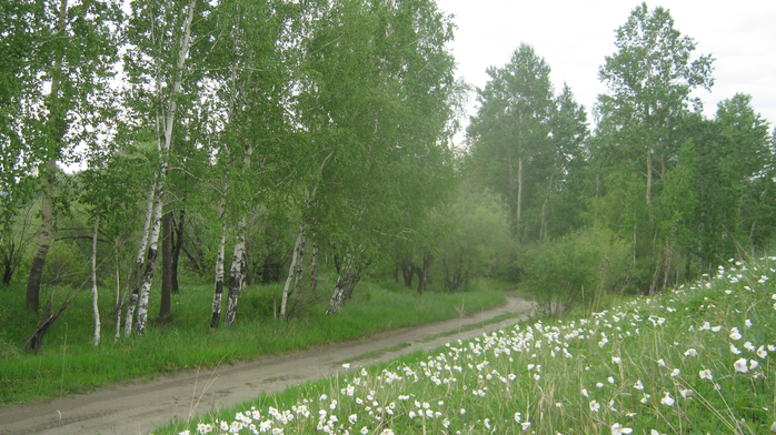 IMG_7876 (700x392, 447Kb)